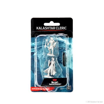 Picture of D&D Nolzurs Marvelous: Kalashtar Cleric Female (WZK90233)