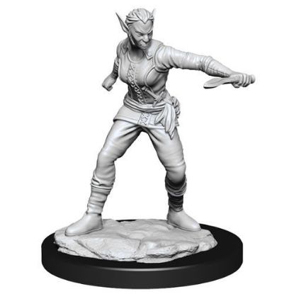 Picture of D&D Nolzurs Marvelous: Shifter Female Rogue (WZK90148)